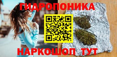 гидра Краснокаменск