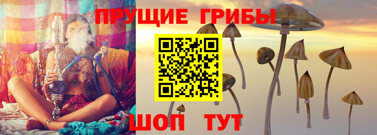 купить  сайты  Вход с VPN  Елизово  Галлюциногенные грибы MAGIC MUSHROOMS 